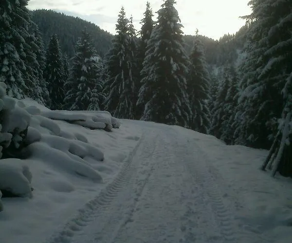 Casa de hóspedes Alpenstern Oberau