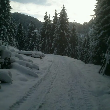 Pensionat Alpenstern Oberau