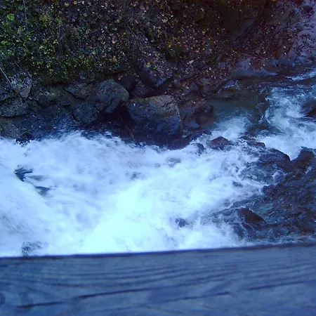 게스트하우스 Alpenstern *