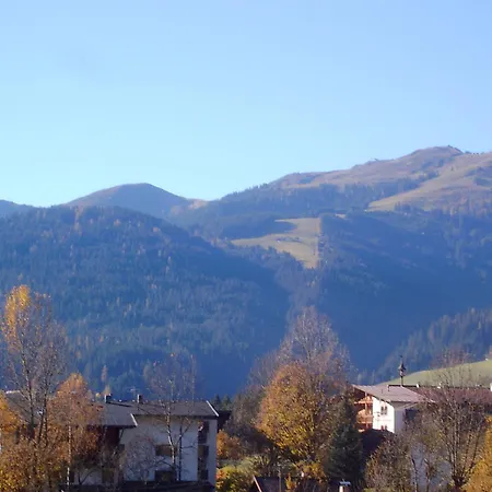 Alpenstern Guest house Oberau