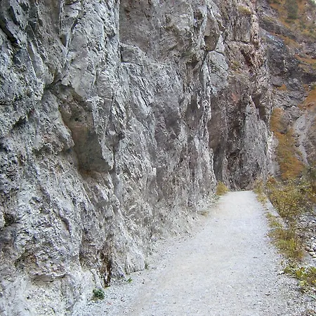 Alpenstern * Oberau