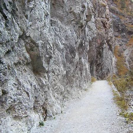 Alpenstern * 오버라우