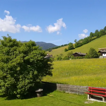 Alpenstern Oberau