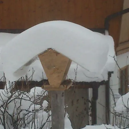 Alpenstern