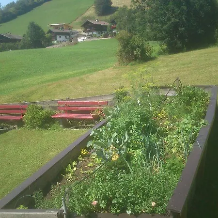 Alpenstern 게스트하우스 오버라우